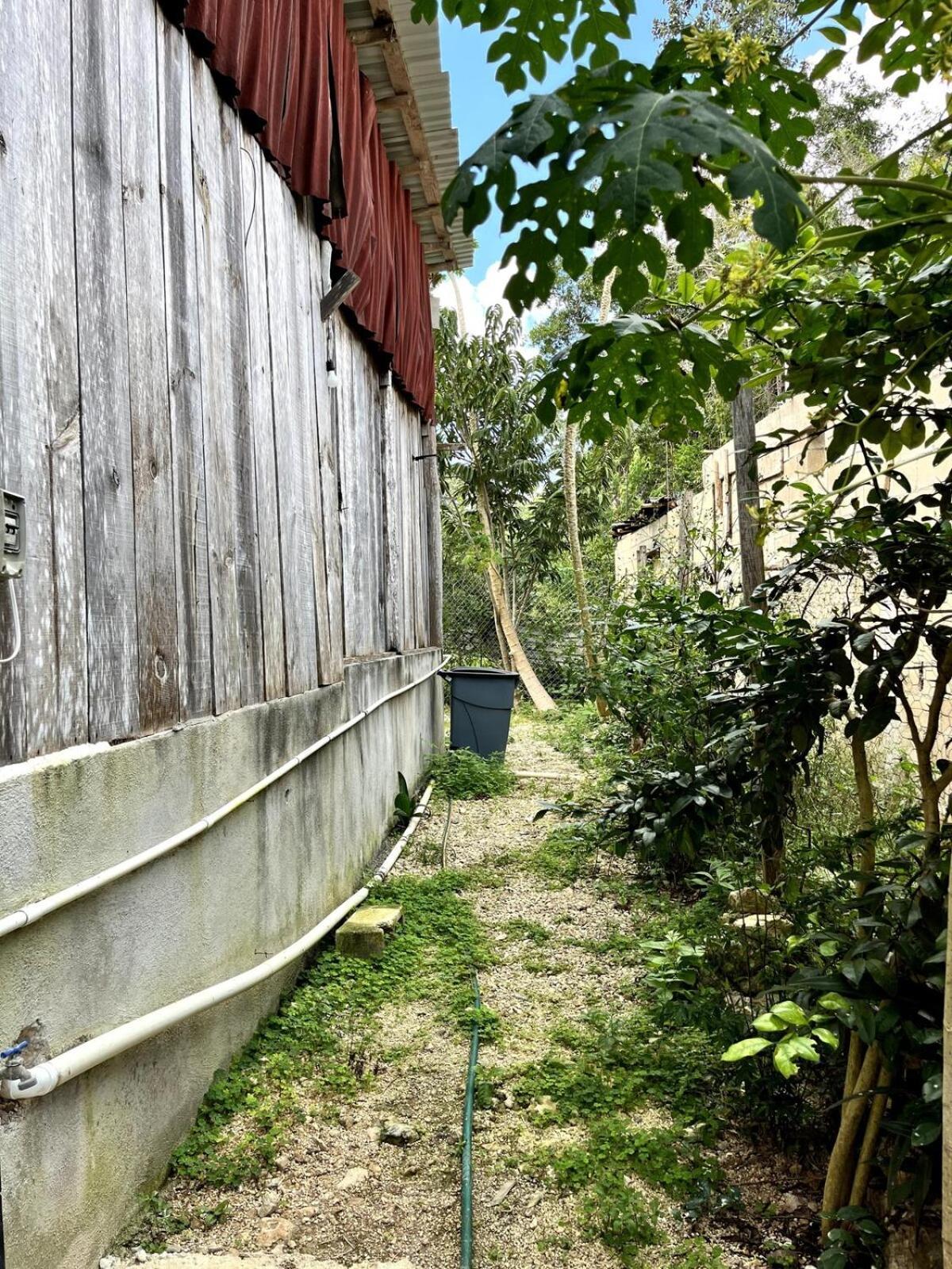 Linda Casa Privada En La Naturaleza De Tulum! Casa vacanze *